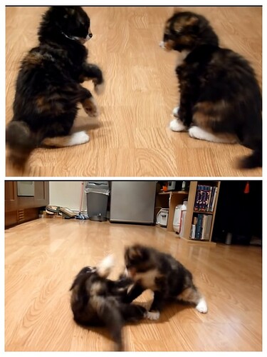 main-qimg-0fa963ee8d8c5e02fc28ed0a200450f6