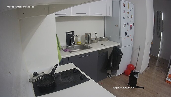 videoframe_52056