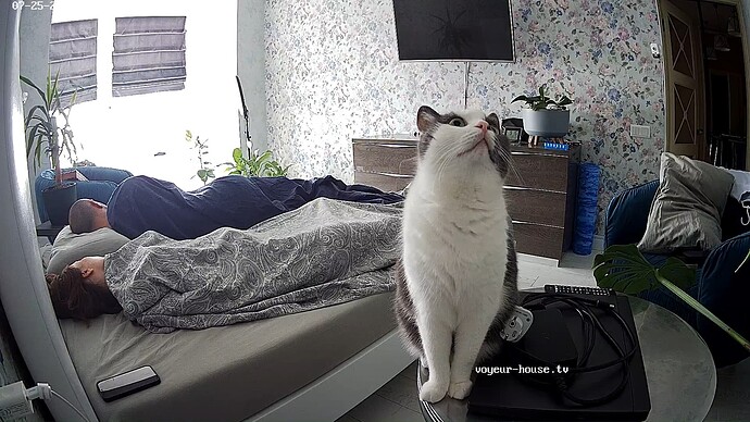 realm35-cam15-1721888386