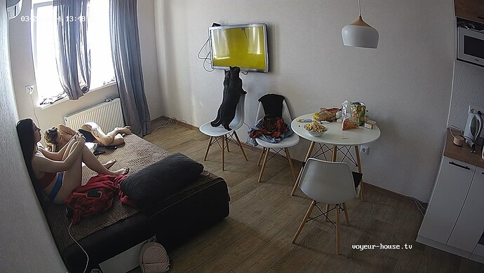 realm31-cam13-1711018172