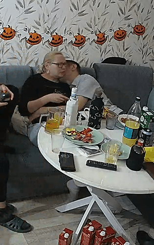 Screenshot 2025-11-19 at 23-01-30 Living room camera at Henry & Mira reallifecam apartment at Voyeur House TV (cam15)