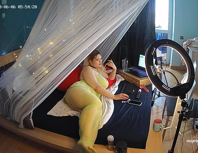 Screenshot 2023-06-05 at 22-54-15 Guest bedroom camera at Sophia Elon Claudia reallifecam apartment at Voyeur House TV (cam110)