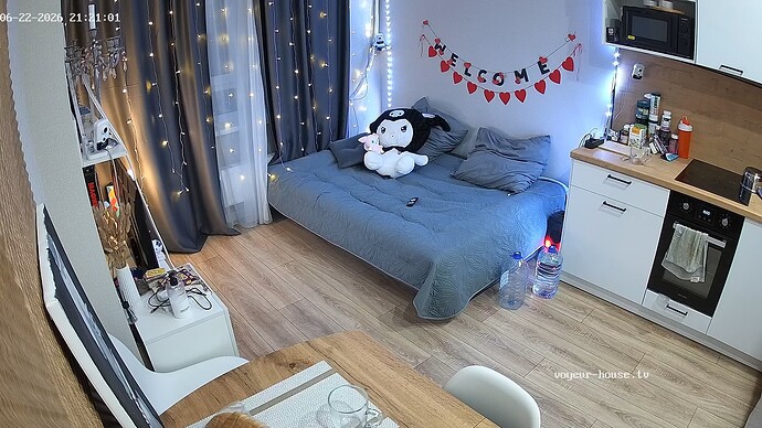 videoframe_8733