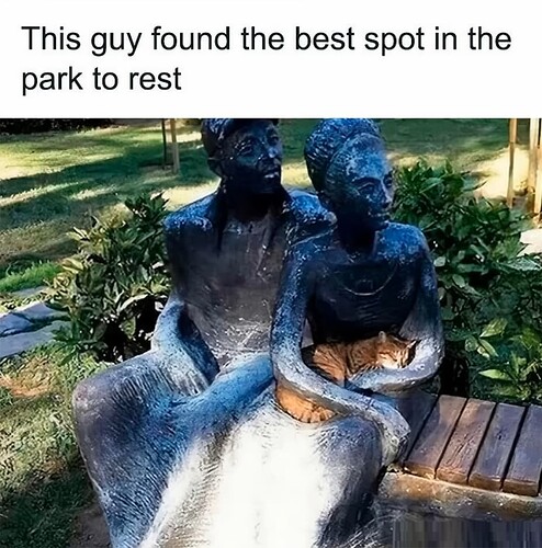 Best Spot