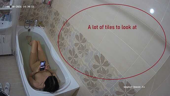 realm72-cam16-1769772941