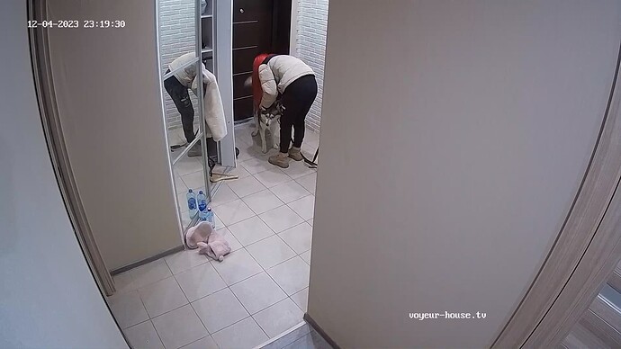 realm62-cam111-1701727027