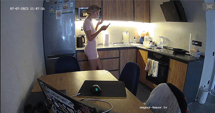 Screenshot 2023-07-07 at 05-37-20 Voyeur House TV 🔥 – #1 FREE Source for hidden real life cams