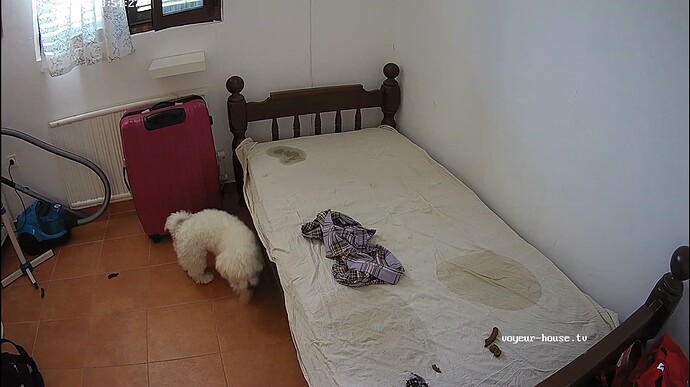 bandicam 2023-10-11 15-52-00-680