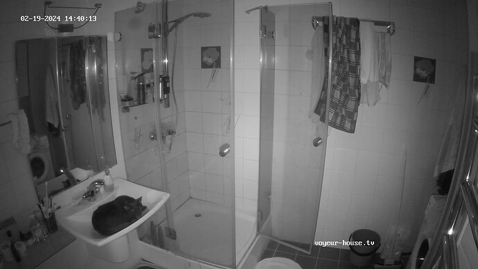 realm52-cam110-1708391934