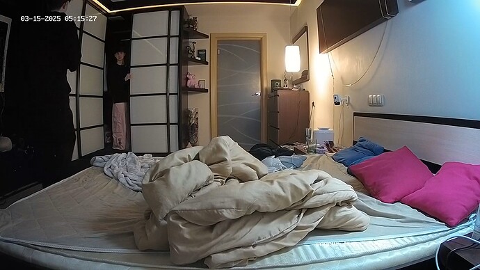 realm55-cam112-1741994755