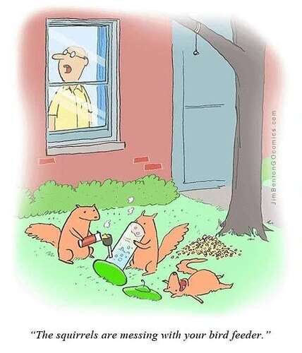 437104462_26134977406089555_1352697855460451035_n