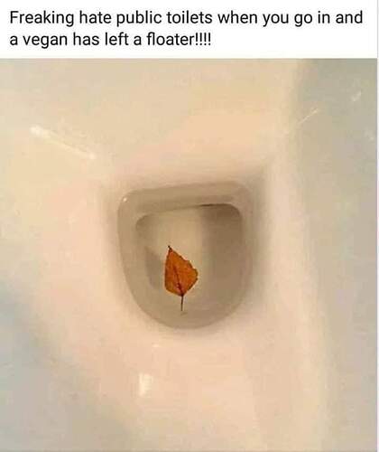 FB_IMG_1683341696095