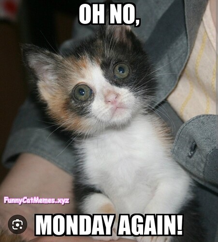 main-qimg-19a46bf2b89e1fa5efb127ca62ec67be