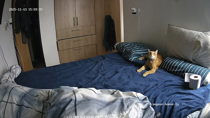 realm44-cam15-1763071217