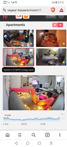 Screenshot_20240204_231426_com.brave.browser