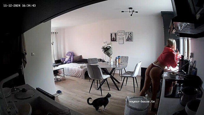 realm1-cam12-1731428714