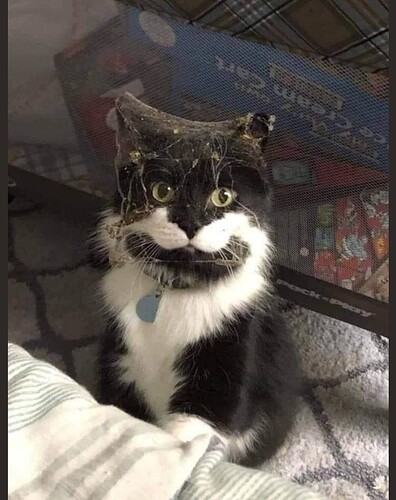 This is what happens when you don't clean underneath your couch lol