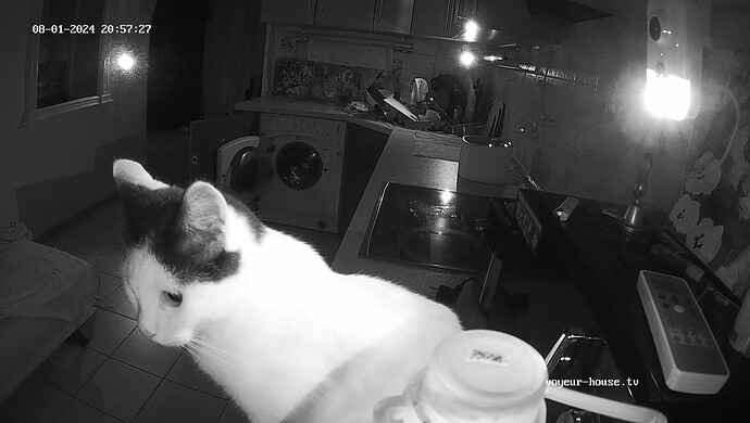 realm60-cam12-1722541455