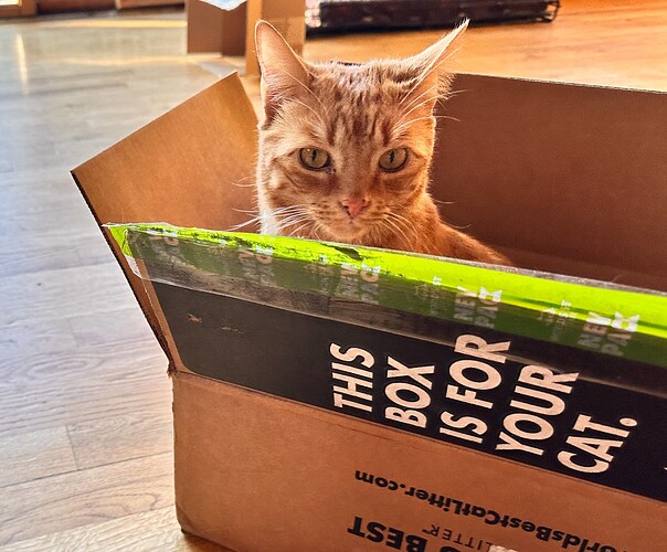 main-qimg-6c181e6efbd838d6a1661157c6e829fe