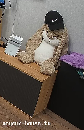 realm61-cam15-1726945622