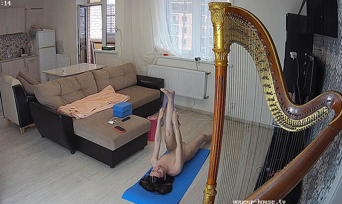 Screenshot 2023-06-12 at 10-45-22 Guest bedroom camera at Sophia Elon Claudia reallifecam apartment at Voyeur House TV (cam110)
