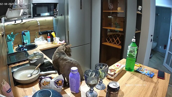 realm94-cam12-1765390529