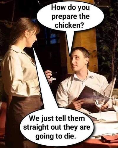 FB_IMG_1687704682437