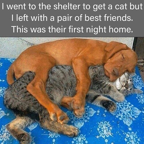 main-qimg-2c8e0c061d40424f49f9584c6d3d44a2