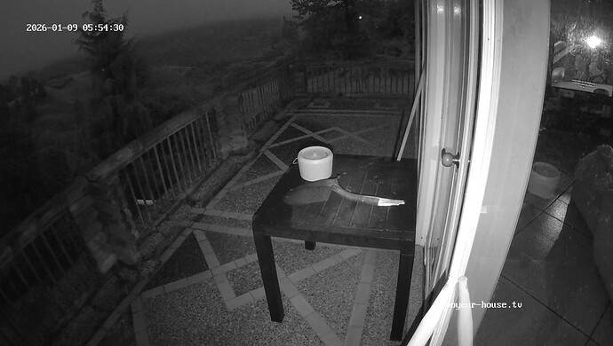 realm139-cam18-1767957211