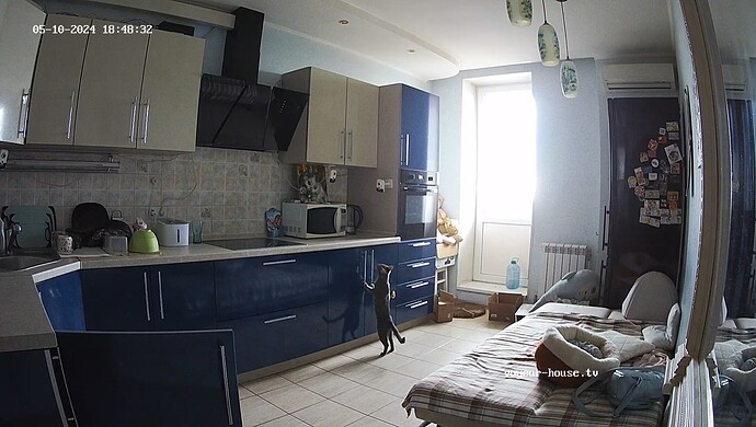 realm60-cam14-1715365825