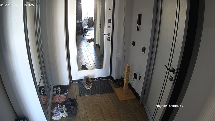 realm42-cam110-1777299772