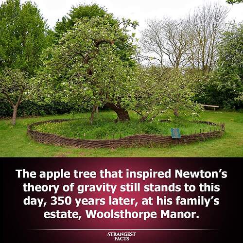 FB_IMG_1701906906848