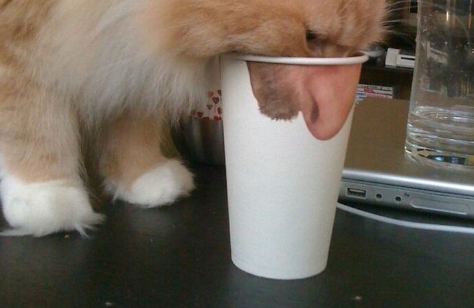 Article-Image-PerfectlyTimedPhotos-Nosey