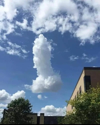 pix-dump-2202-112-69c6f5a0f281b