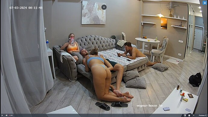 Ashampoo_Snap_mardi 2 juillet 2024_23h12m18s_009_Living room camera at Yuneska & Radu reallifecam apartment at Voyeur House TV (cam14) - Google Chrome