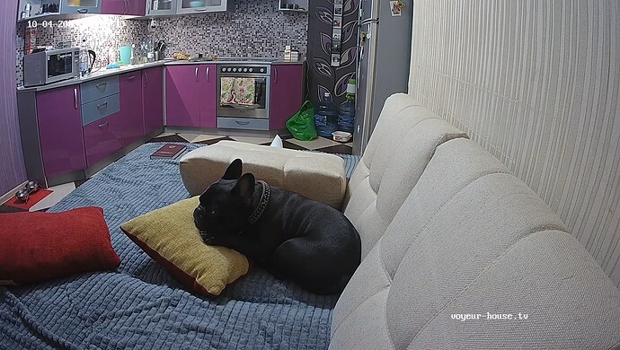 realm61-cam14-1696447129