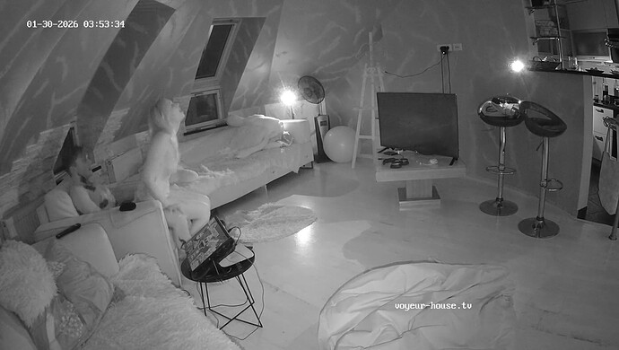 realm8-cam16-1769738049