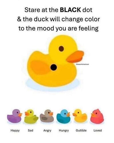 530628791_10163950014143265_6816009868522902890_n