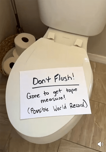 Don't Flush