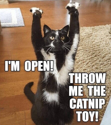 main-qimg-4a797940ad25238e67ae993507eaaa53