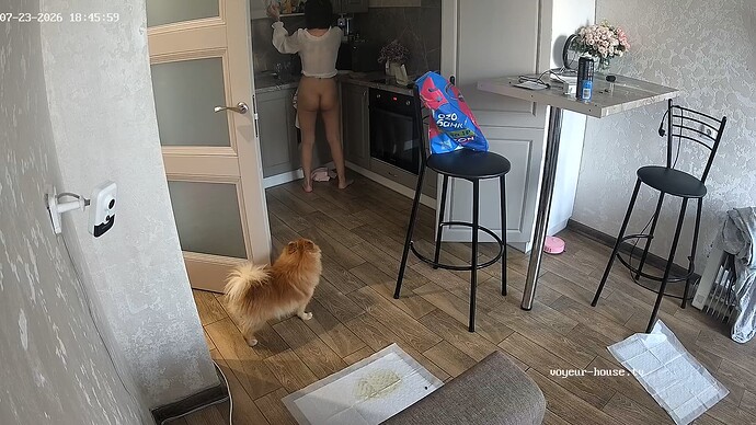 videoframe_13676