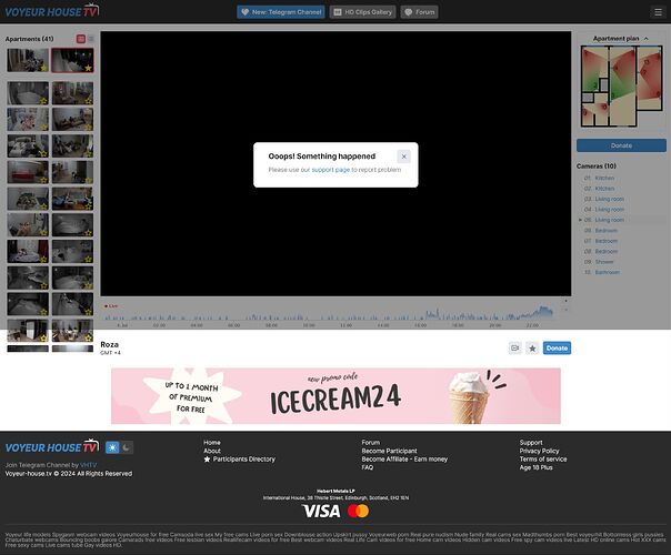 Screenshot 2024-07-04 at 23-06-35 Living room camera at Roza reallifecam apartment at Voyeur House TV (cam15)