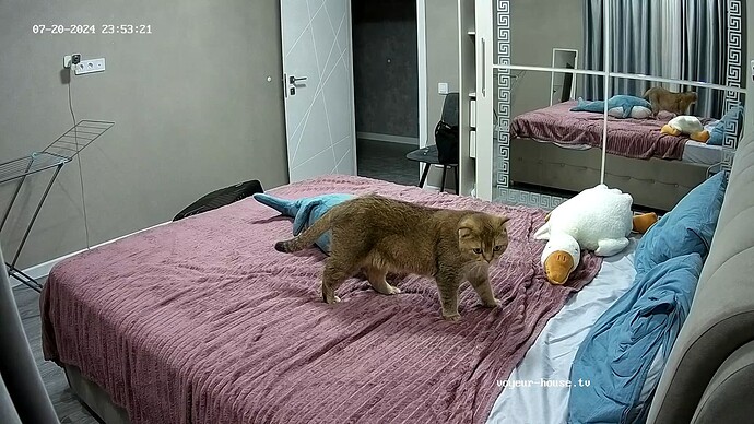 realm1-cam17-1721508979