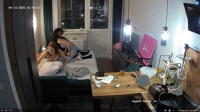 Ashampoo_Snap_vendredi 11 avril 2025_1h46m36s_001_Living room camera at Swera reallifecam apartment at Voyeur House TV (cam13) - Google Chrome