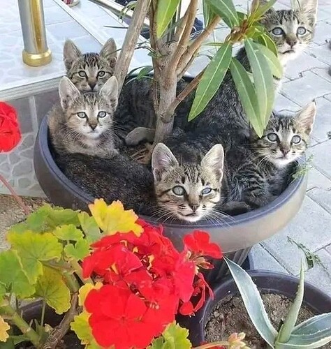 main-qimg-19b513b4c8b526fb8fc63efad57d1886