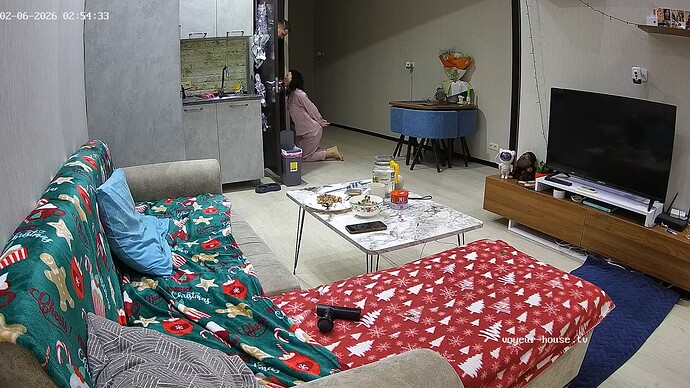 realm6-cam15-1770347730