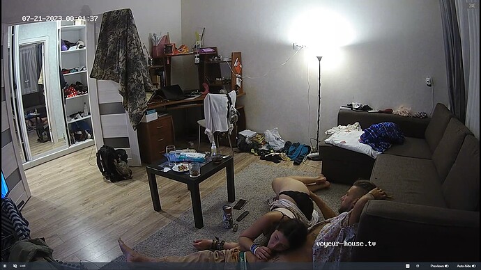 Ashampoo_Snap_jeudi 20 juillet 2023_23h2m4s_030_Living room camera at Medea reallifecam apartment at Voyeur House TV (cam13) - Google Chrome