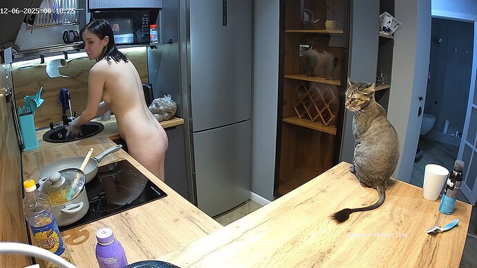 realm94-cam12-1764973102