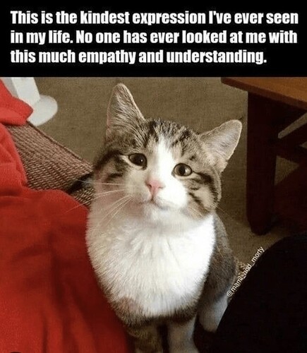 main-qimg-f34449c4369222b7cb6ea859f685203d