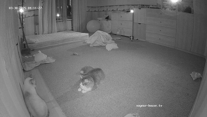 realm55-cam19-1743286559